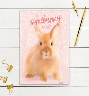 BD/Somebunny Sweet