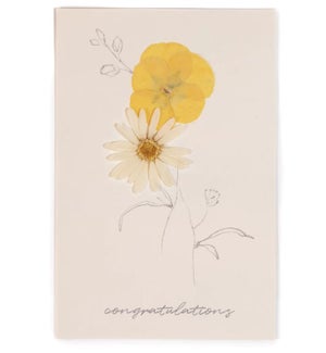 CARD/Congratulations - Daisy