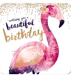BDB/Flamingo Birthday