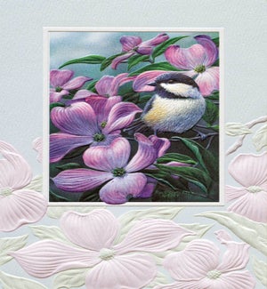 MD/Chickadee on Dogwood