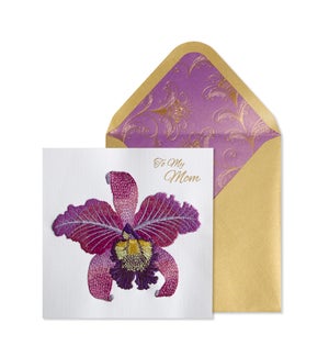 MD/Embroidered Orchid