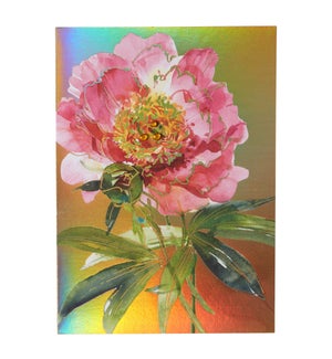 MD/Peony On Gold
