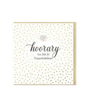COB/Hooray You did It