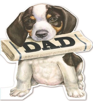 FD/Doggy Dad Newspaper