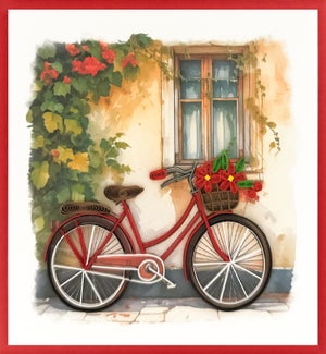 BL/Red Bicycle