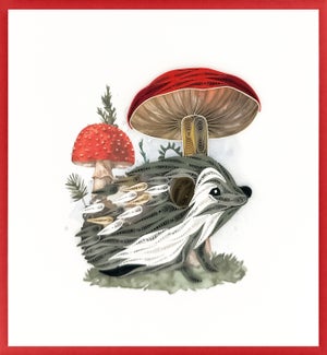 BL/Hedgehog Mushrooms
