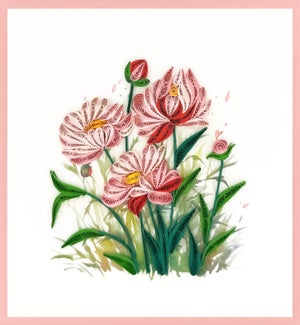 BL/Peony Field