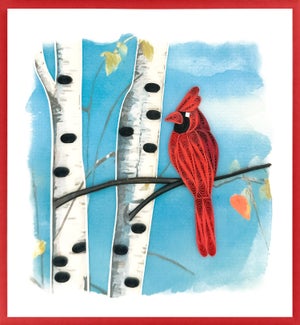 BL/Cardinal Birch Tree