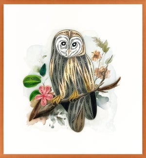 BL/Barn Owl