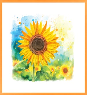 BL/Sunflower Field