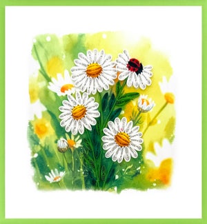 BL/Daisy Ladybug (OOS)