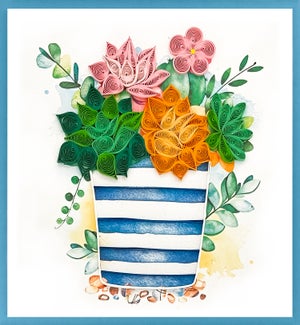 BL/Succulents