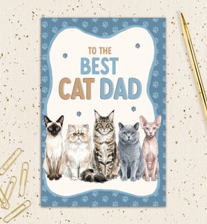 FD/Cat Dad