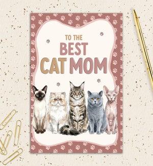 MD/Cat Mom