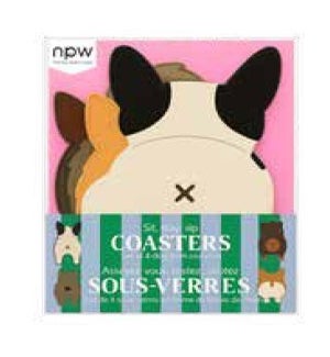 COASTERS/Dog Bum