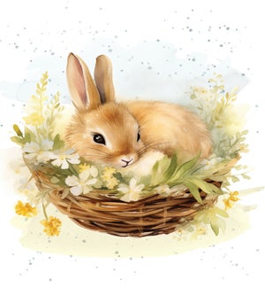 ENC/Basket Of Love