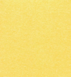 TISSUE/Bright Yellow