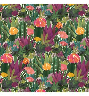 WRAP/Colourful Cacti