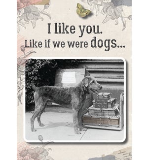 RO/If We Were Dogs