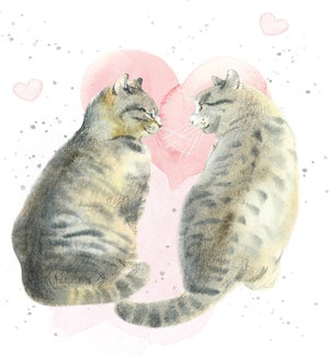ENC/Nine Lives