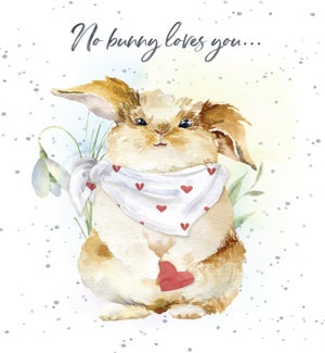 VAL/No bunny loves