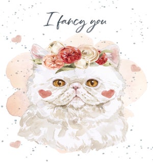 VAL/I fancy you