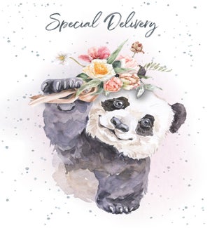 VAL/Special Delivery