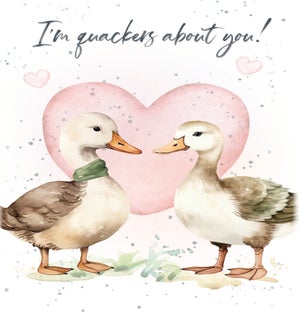 VD/Quackers about you