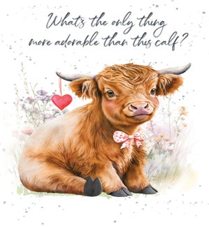 VD/More adorable