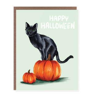 HW/Halloween Black Cat