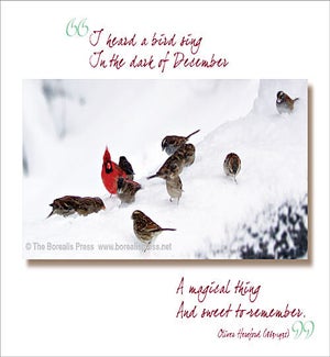 XM/I heard a bird sing