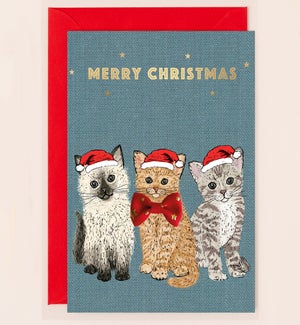 XM/Merry Christmas Cats
