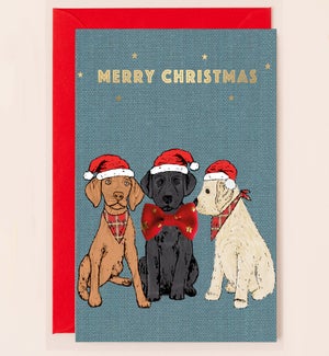 XM/Christmas Dog Trio