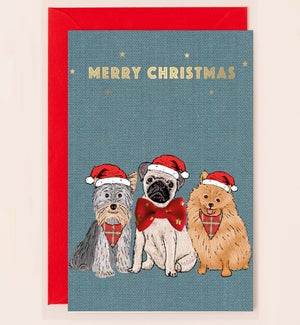 XM/Dogs with Santa Hats