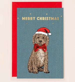 XM/Christmas Cockapoo