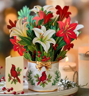 POPUP/Winter Joy