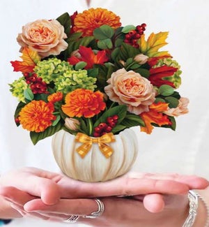MINIPOPUP/Pumpkin Spice