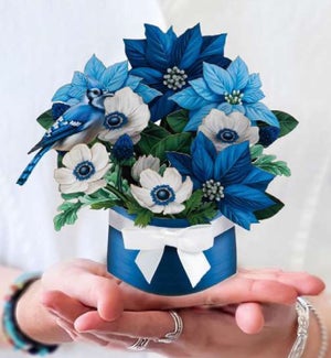 MINIPOPUP/Blue Poinsettia