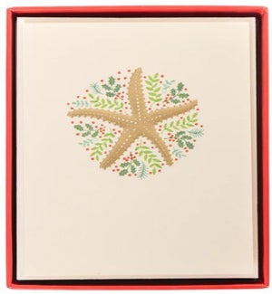 PETITEBOX/Holiday Sand Dollar