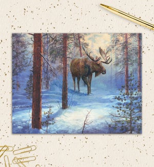 HOL/Moose in the Forest