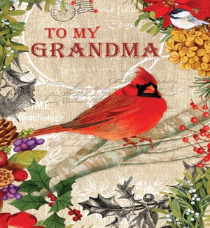 XM/Grandma Cardinal