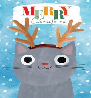 XM/Reindeer Cat