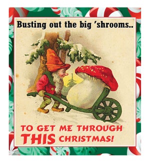 XM/The Big Shrooms