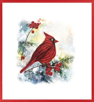BL/Winter Cardinal