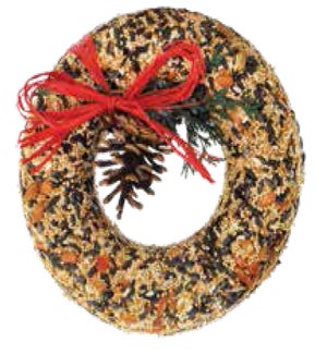XMWREATH/Wild Feast Wreath