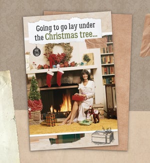 XM/Lay Under the Tree