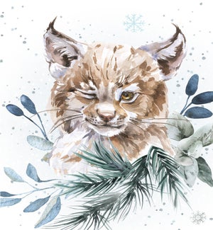 ENC/A Whisker Away