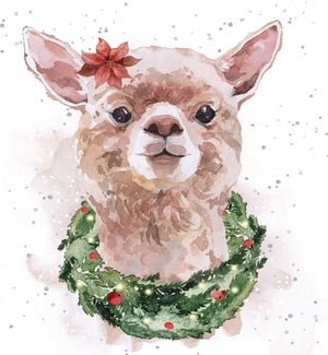 ENC/Jolly Llama