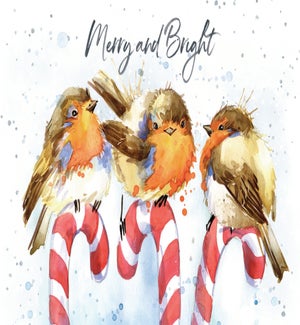 XM/Merry and Bright