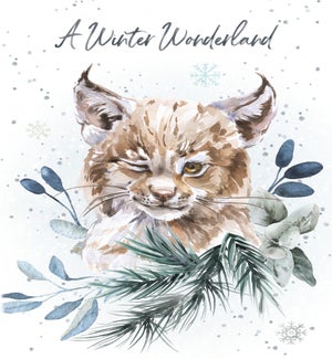 HOL/A Winter Wonderland